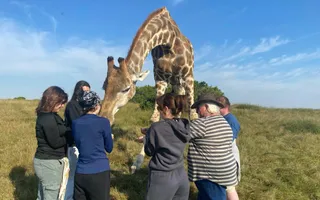 Phezulu PreVet South Africa