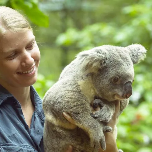 Wildlife Habitat Australia