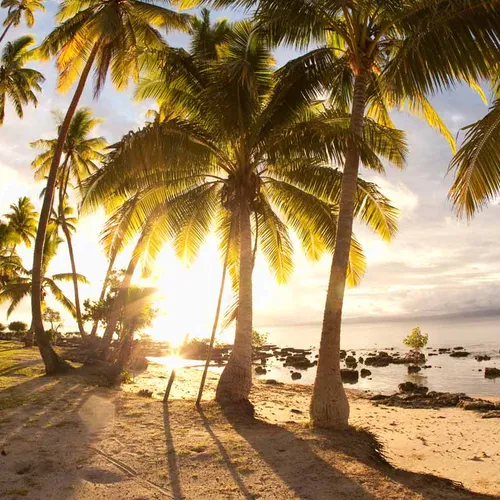 Road Trip Fiji
