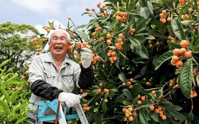 3. Happy old Japanese man