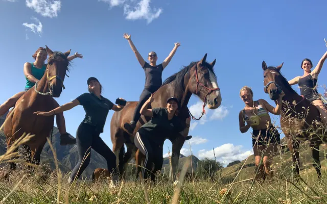 2. Horses New Zealand