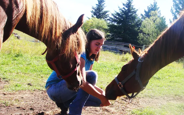 3. Hester på Ranchstay Canada