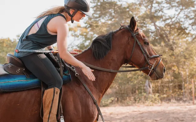 1. Horses & Wildlife Care in Zimbabwe