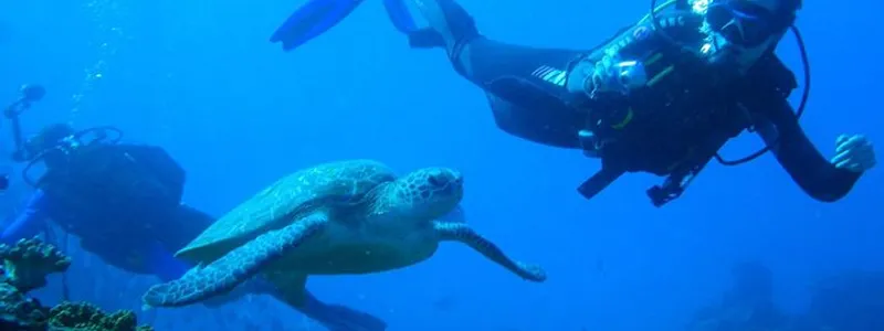 Marine & Reef Conservation