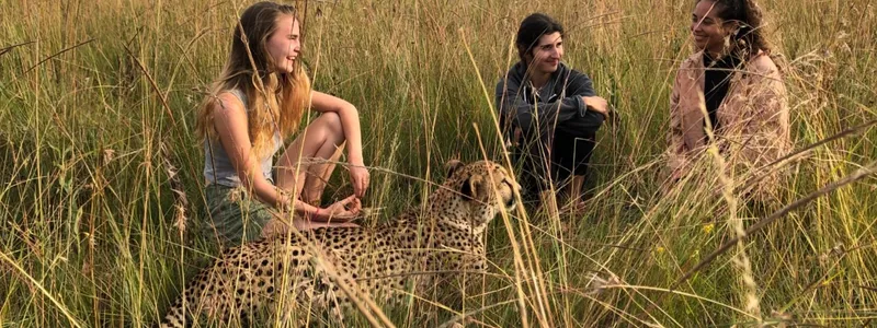 Living with Cheetahs