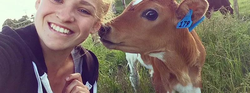 Farm Homestay New Zealand