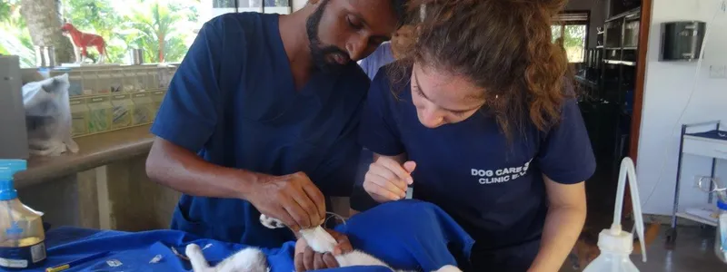 Vet Sri Lanka