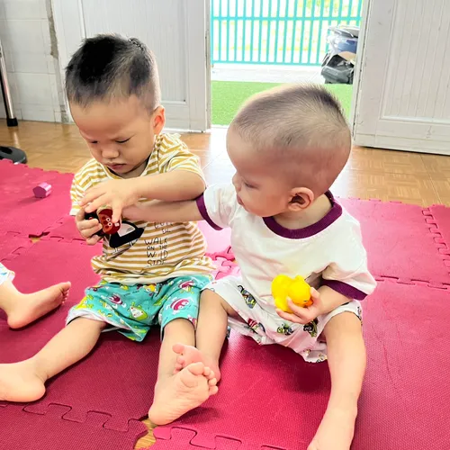 3. Volunteer Vietnam