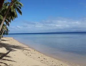 Frivillig Fiji