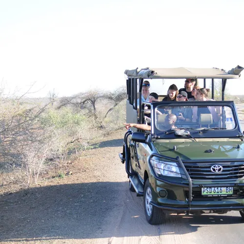 4. Kruger safari