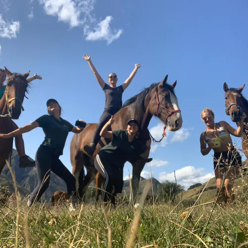 2. Horses New Zealand