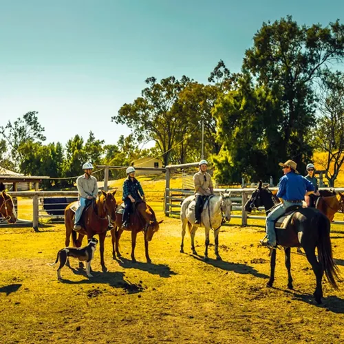 Clint with horses