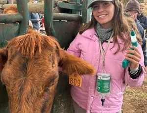 Phezulu PreVet South Africa