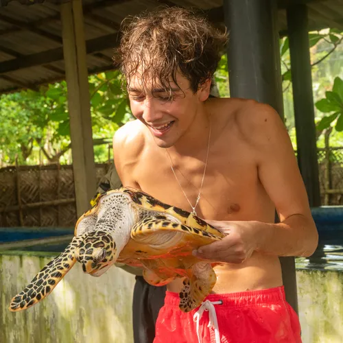 3. Sea turtle conservation