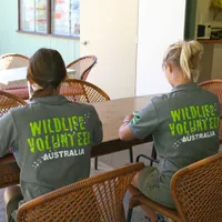 Wildlife Volunteers

Intake 03 May 2011
