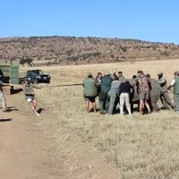 Rhino Release