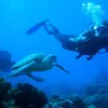 Marine & Reef Conservation