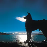 6. Collie Lake Tekapo