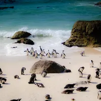 6. Penguiner Boulders Beach