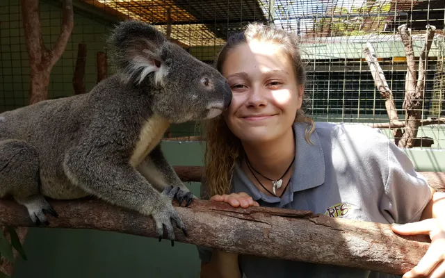 Wildlife Combo Cairns