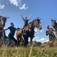 2. Horses New Zealand