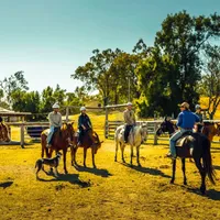 Clint with horses