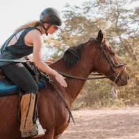 1. Horses & Wildlife Care in Zimbabwe