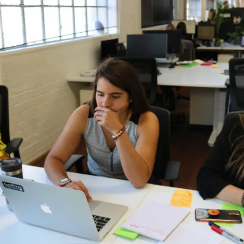 Internship New Zealand