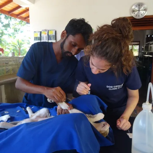 Vet Sri Lanka